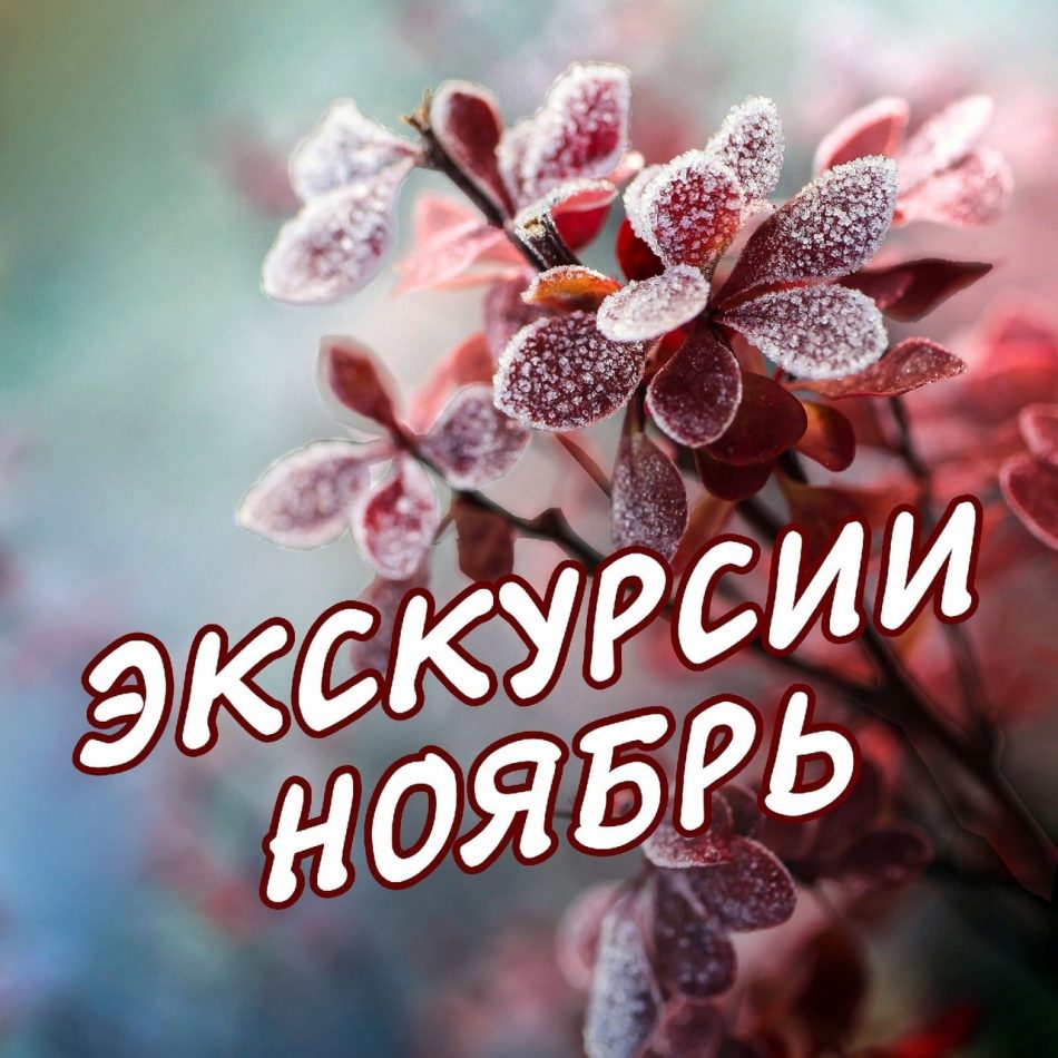 График экскурсий на ноябрь