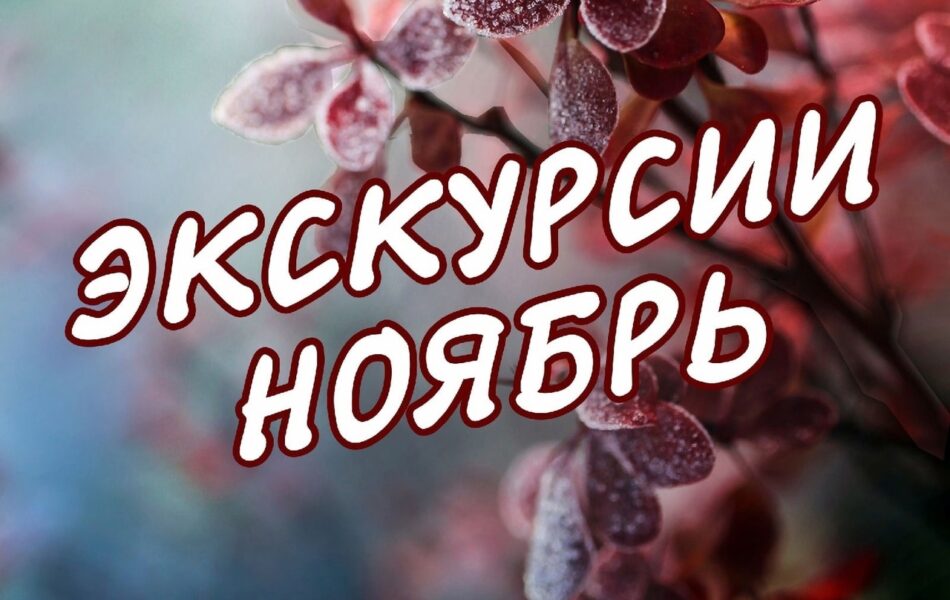 График экскурсий на ноябрь