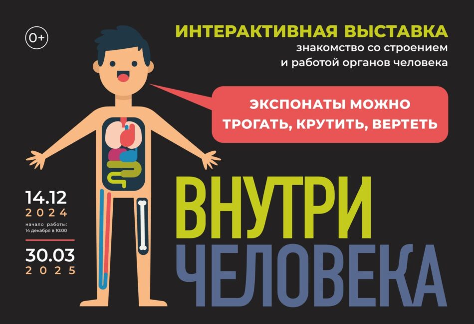 Интерактивная выставка “Внутри человека” начнет работать в отделе природы