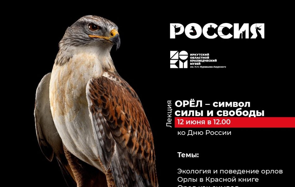В День России отдел природы приглашает на музейную лекцию, посвященную орлу