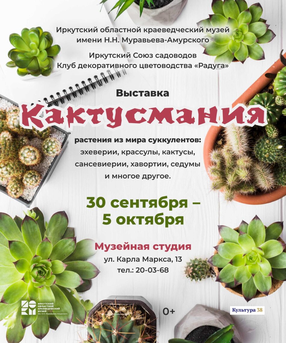 Кактусмания начинается!