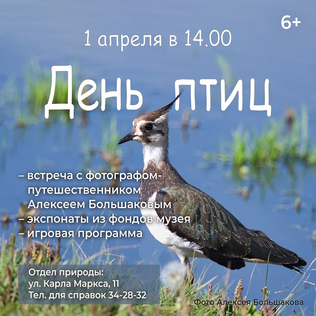 Приглашаем на экологический праздник “День птиц”!