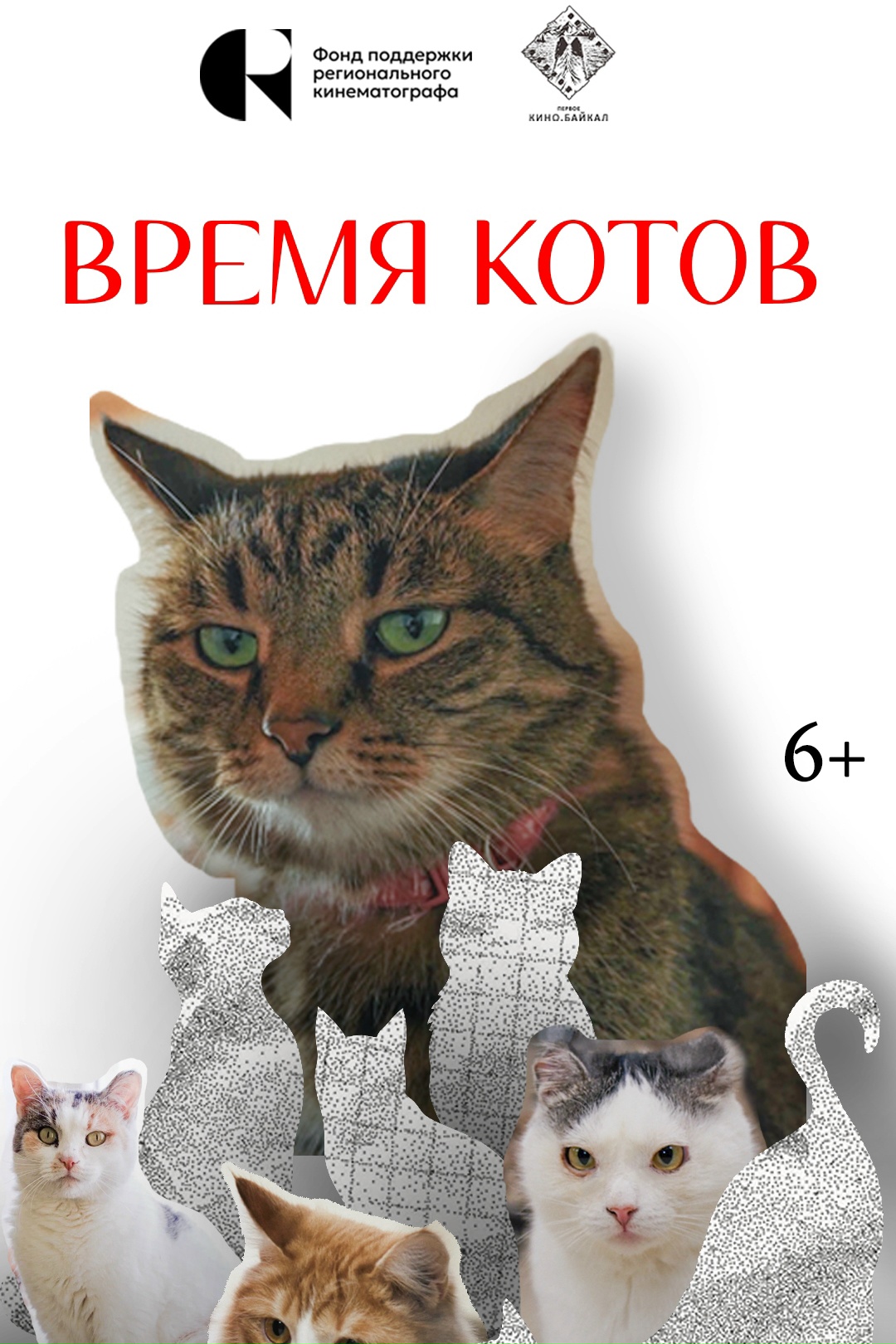 Иркутский киноклуб. Фильмы “Мы Загруши” и “Время котов”