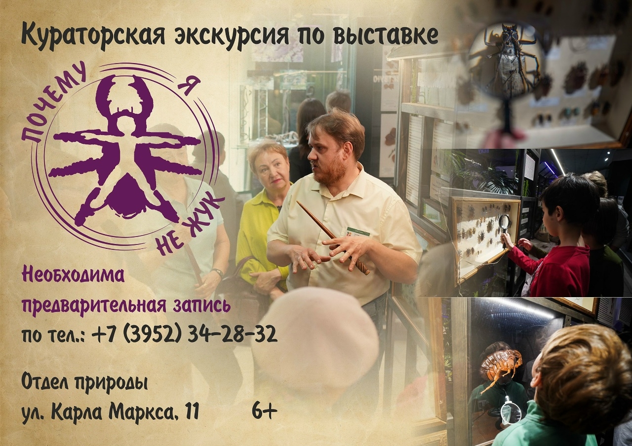 Приглашаем на кураторскую экскурсию по выставке “Почему я не жук”