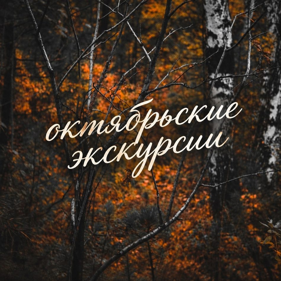 График экскурсий на октябрь 2026