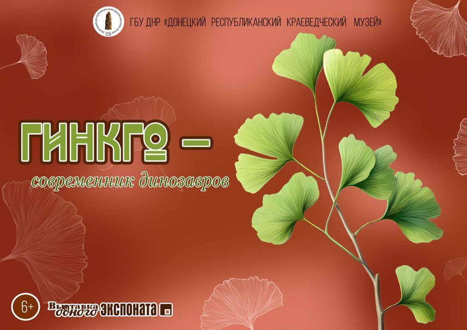 Электронная выставка Донецкого краеведческого музея “Гинкго – современник динозавров”