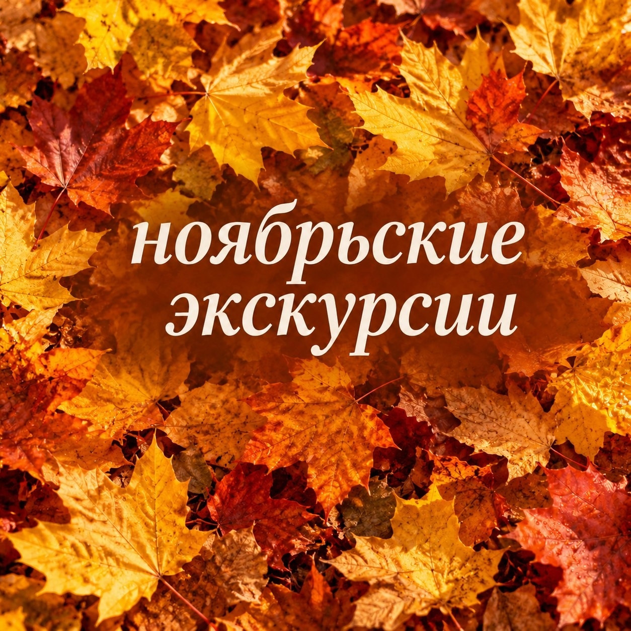 Ноябрьские экскурсии